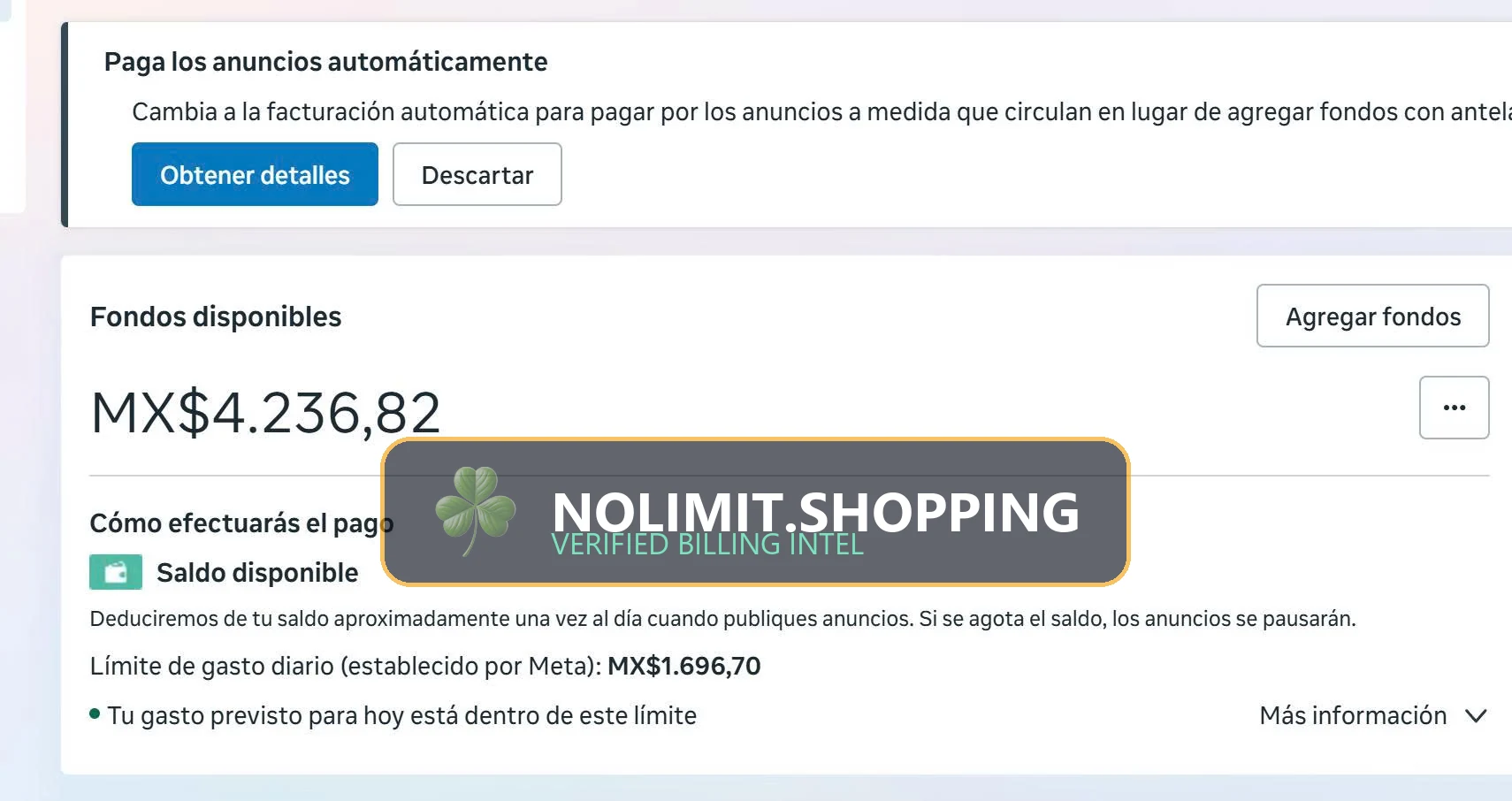 Google Ads High-Limit Invoice Profile Verification